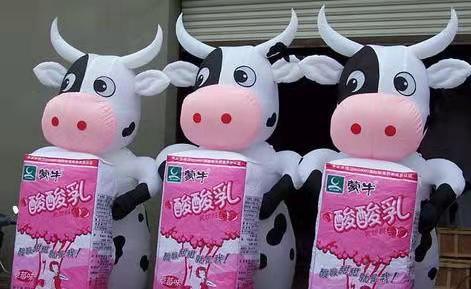 略阳牛奶厂广告气模